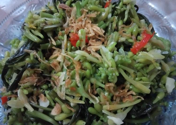 Resep 95) Tumis Kembang Pepaya yang Sempurna