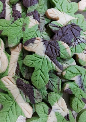 Una foto de Galletas de hojas de temporada con baya Orujo 🍁