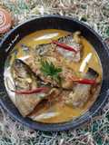 Kari Ikan Patin-MPASI Anak Usia 1 Tahun