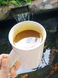 #6 Kunyit Asam