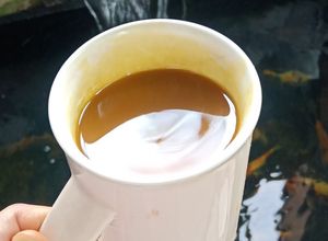 Foto resep #6 Kunyit Asam