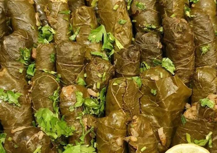 لذيذجدًا محشي ورق عنب لذيذجدًا: محشي ورق عنب