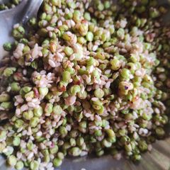 A picture of भाजलेला हुरडा.