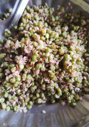 A picture of भाजलेला हुरडा.