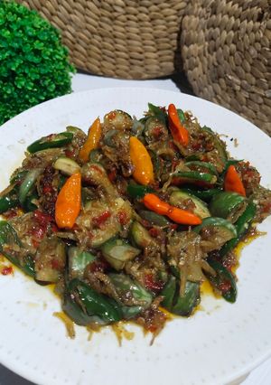 Foto resep Tumis Terong Lalap Teri