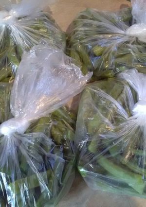 Φωτογραφία της συνταγής Φασολάκια στην κατάψυξη