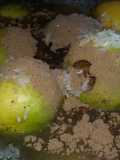 Fresco de cas con arroz