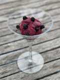 The Mysterious Garibaldi Sorbet