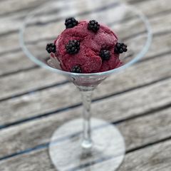 A picture of The Mysterious Garibaldi Sorbet.