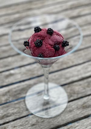 A picture of The Mysterious Garibaldi Sorbet.