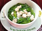 Gambar romaine bawang