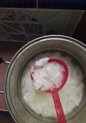 Foto resep Membuat Kopyor Kelapa dari Nutrijell