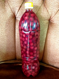 عکسی از دستور ترشی آلبالو