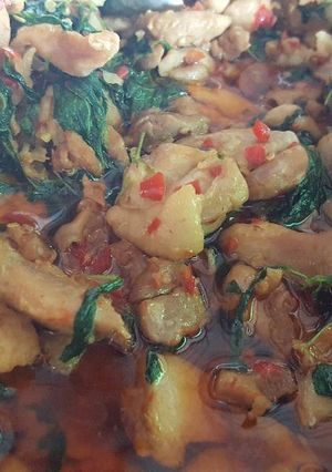 รูปของ ผัดกระเพราไก่