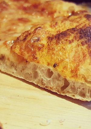 A picture of 48h Pizza Dough.