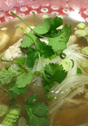 A picture of Vietnamese Chicken Loodoo Soup.