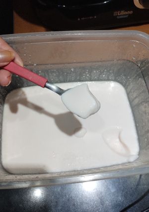 Una foto de Yogur casero
