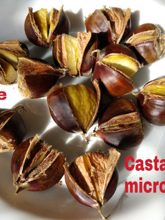Una foto de Castañas al microondas