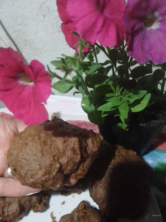 Una foto de Galletas de zapallo calabaza y chocolate
