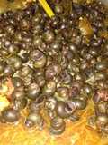 Sayur tutut (keong kecil/siput sawah)