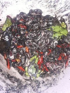 Foto resep Cumi Tinta Hitam