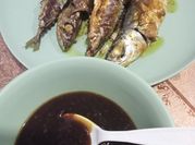 Gambar ikan mackerel