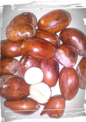 Foto resep Biji Durian Rebus