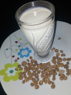 A picture of Tigernut Milkshake.