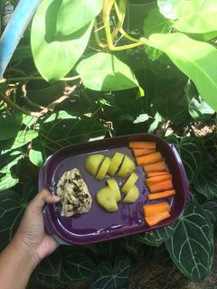 Foto resep Menu Diet Mayo