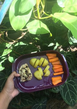 Foto resep Menu Diet Mayo