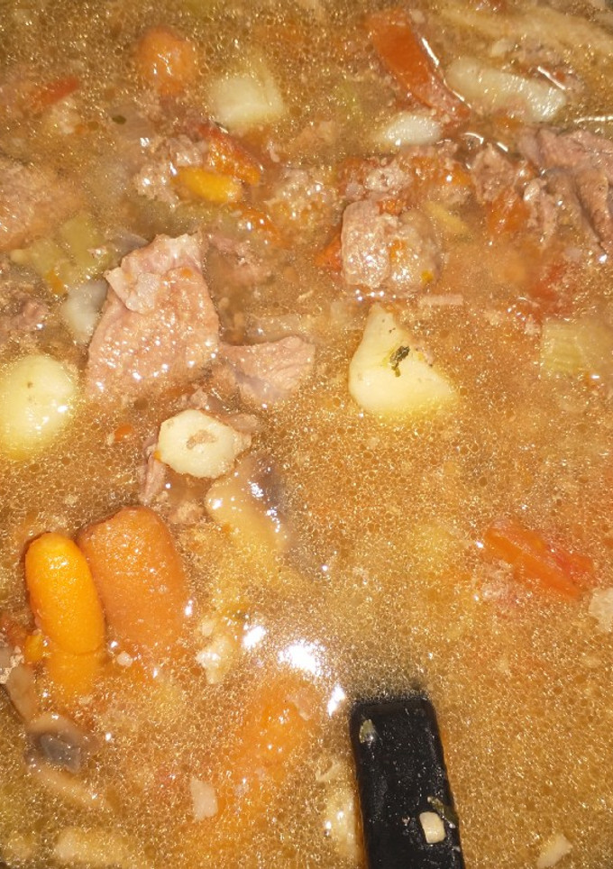 A picture of Beef soup.