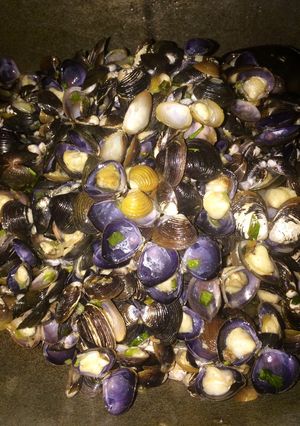 Foto resep Pensi