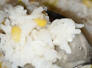Gambar Nasi Dhal dan Daun Leek