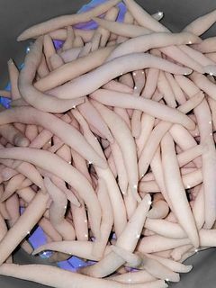 Foto resep Gabus keju (cemilan ekonomis)