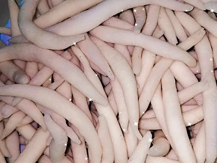 Easy Steps to Make Recipes Gabus keju (cemilan ekonomis) the  Makes Drooling Tasty.