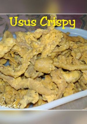 Foto resep Usus Crispy