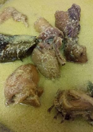 Foto resep Opor Ayam Kampung