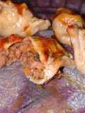 Ravioles chinos al vapor, giozas o empanadas chinas