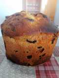 167. Panetone de pepitas de chocolate / Masa en panificadora