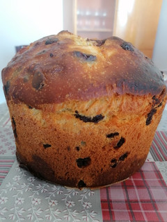 Una foto de 167. Panetone de pepitas de chocolate / Masa en panificadora