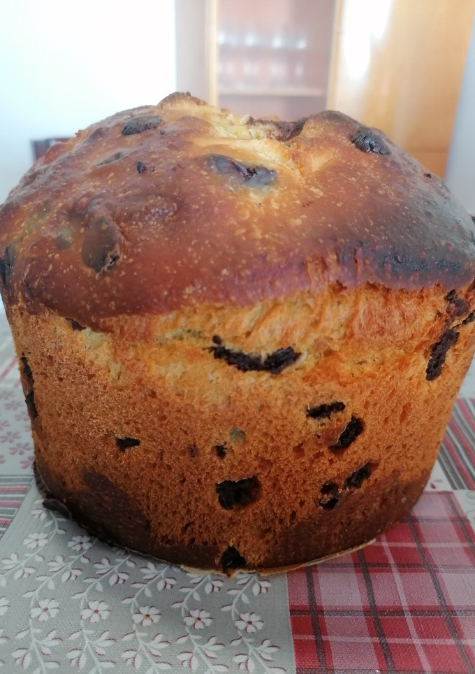 Una foto de 167. Panetone de pepitas de chocolate / Masa en panificadora