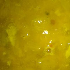 Masoor daal with onion A picture of Masoor daal with onion.