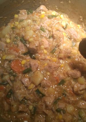 A picture of Pork stew.