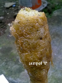 Foto resep Sempol 4* (MPASI 1y+ dan menu keluarga)