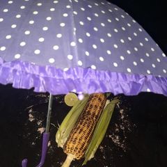 A picture of Sweet corn.