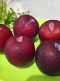 TIPS MEMILIH & MENYIMPAN BUAH PLUM 🍎