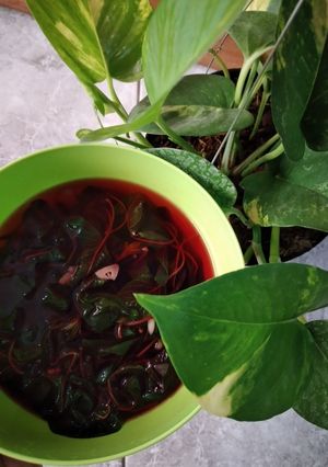 Foto resep Sayur Bening Bayam Merah