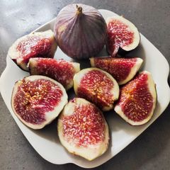 A picture of Fresh Fig Delight.