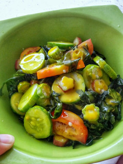 A picture of Seaweed Cucumber Tomato and Okra Salad with Mustard Dressing.
