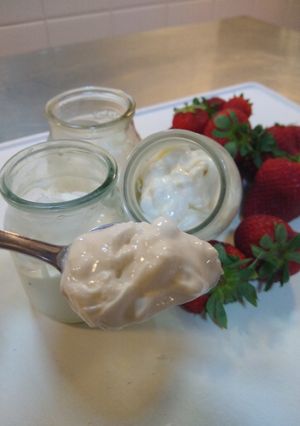 Una foto de Yogurt griego casero bien cremoso